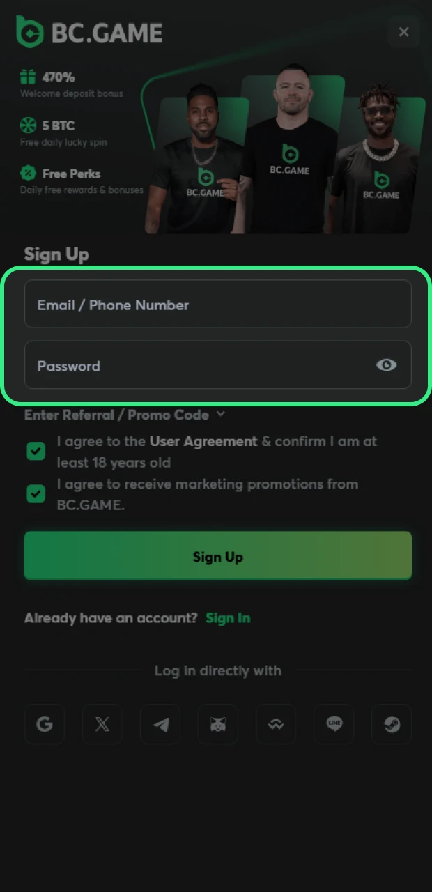 Next, fill out the BC Game form with the required information.