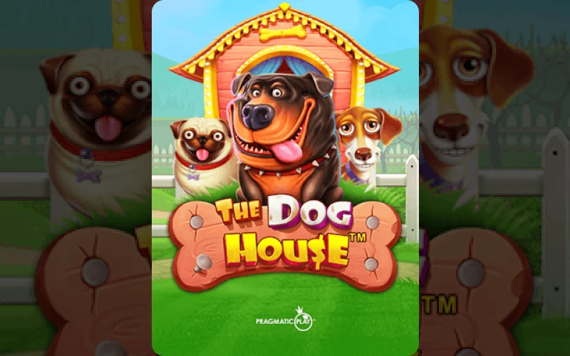 Play The Dog House and get wins at BC Game.