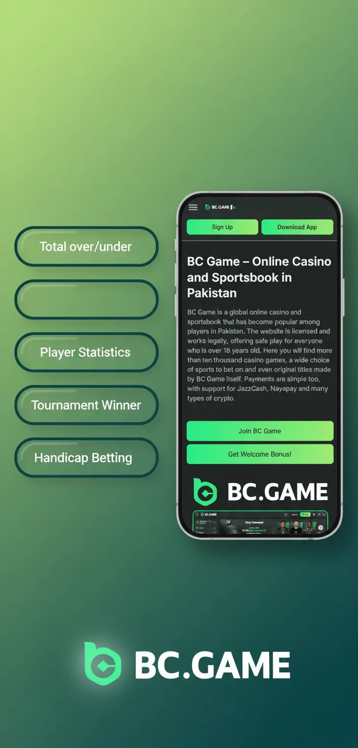 Infographic listing BC Game bet types: Single, Accumulator, System, Handicap, Over/Under, with brief risk and payout tips.